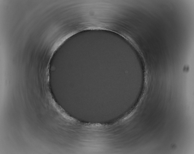X0000114190885200911200934