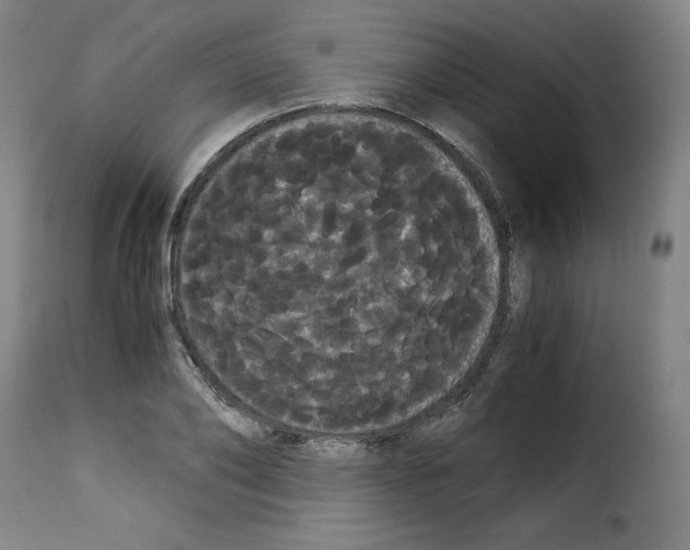 X0000114190886200911200934