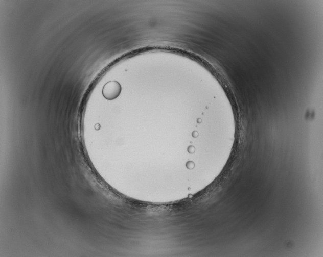 X0000114190887200911200934