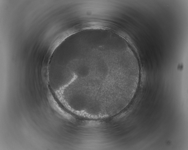 X0000114190890200911200934