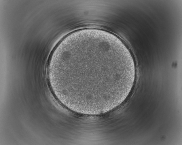 X0000114190891200911200934