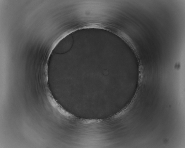 X0000114190892200911200934