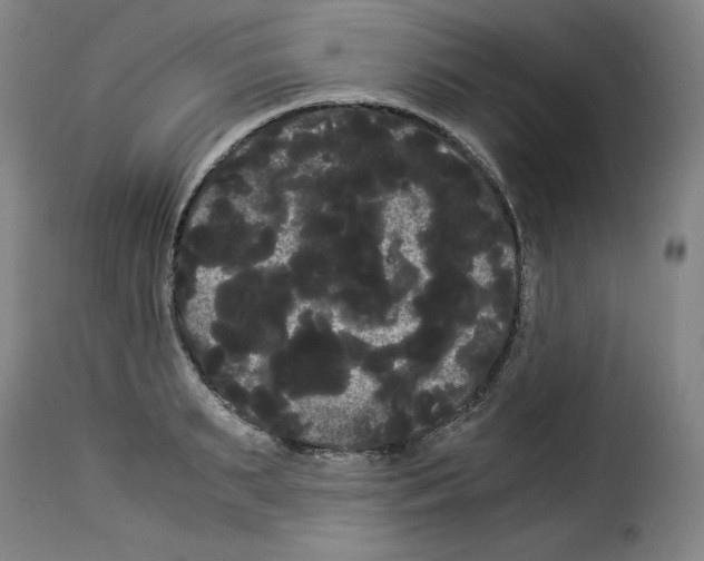 X0000114190895200911200934