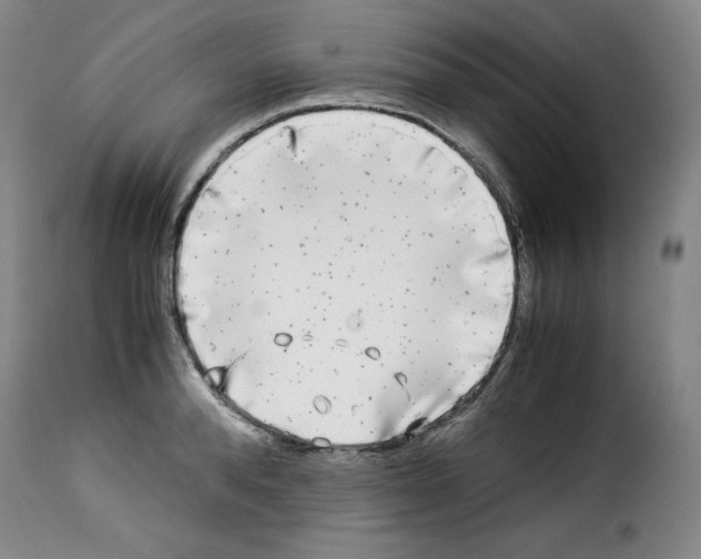 X0000114190896200911200934