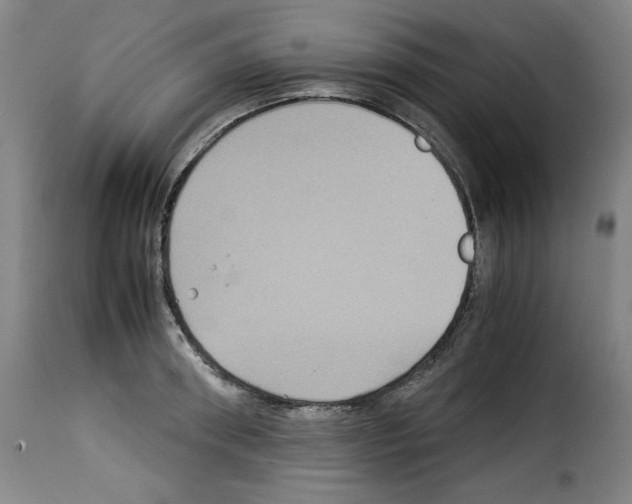 X0000114190898200911200934