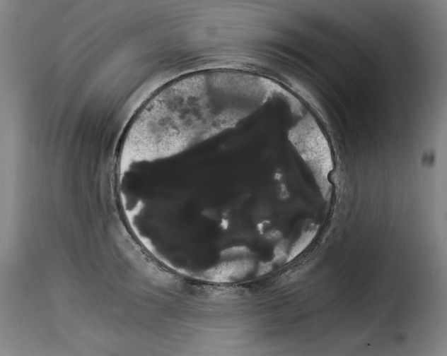 X0000114190899200911200933