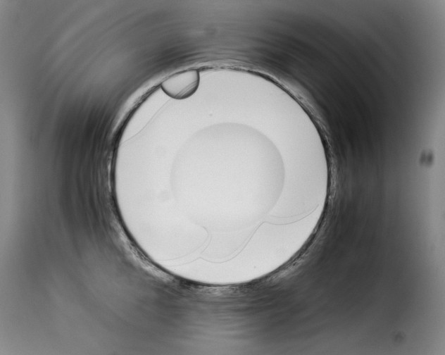 X0000114190904200911200933