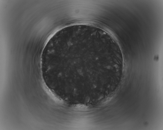 X0000114190907200911200933