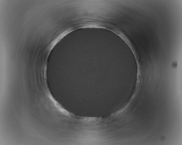 X0000114190909200911200933