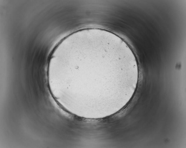X0000114190910200911200933