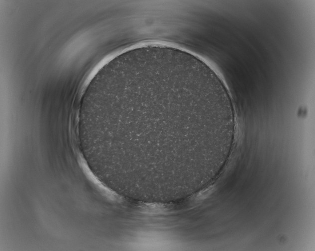 X0000114190911200911200933