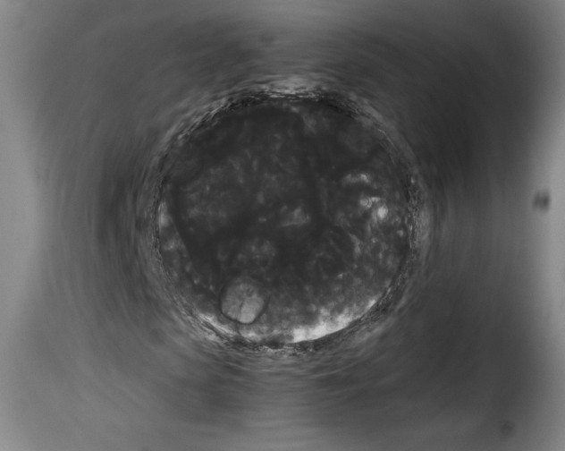 X0000114190913200911200933