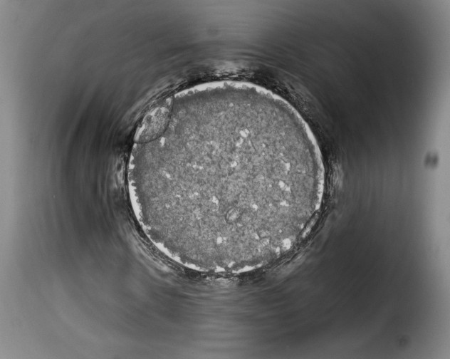 X0000114190914200911200933
