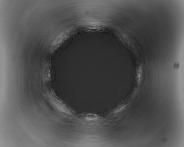 X0000114190916200911200933