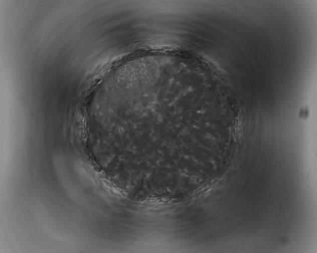 X0000114190917200911200933