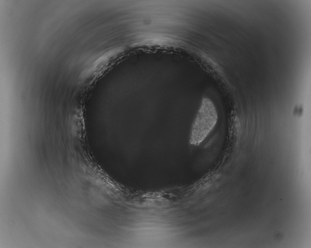 X0000114190918200911200933