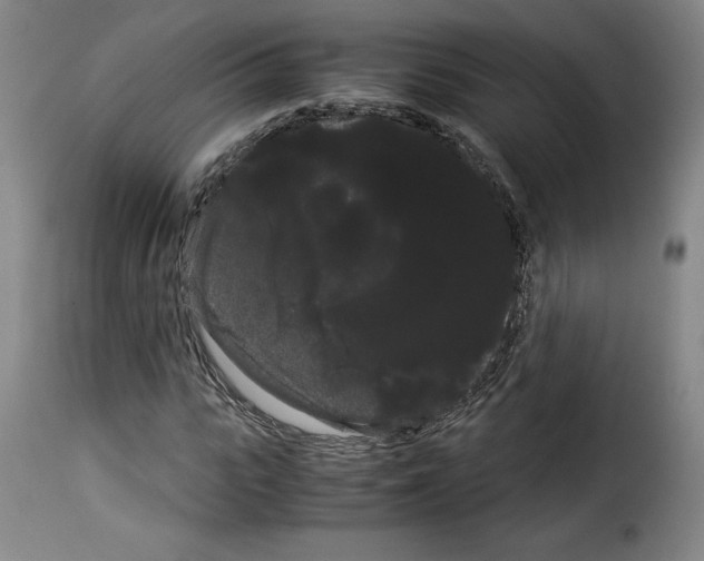 X0000114190919200911200933