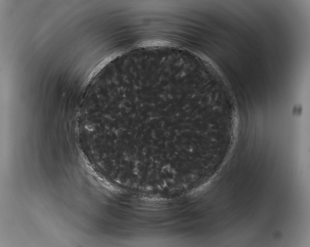 X0000114190921200911200933