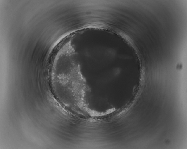 X0000114190923200911200933
