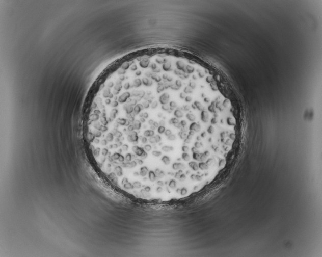X0000114190924200911200933