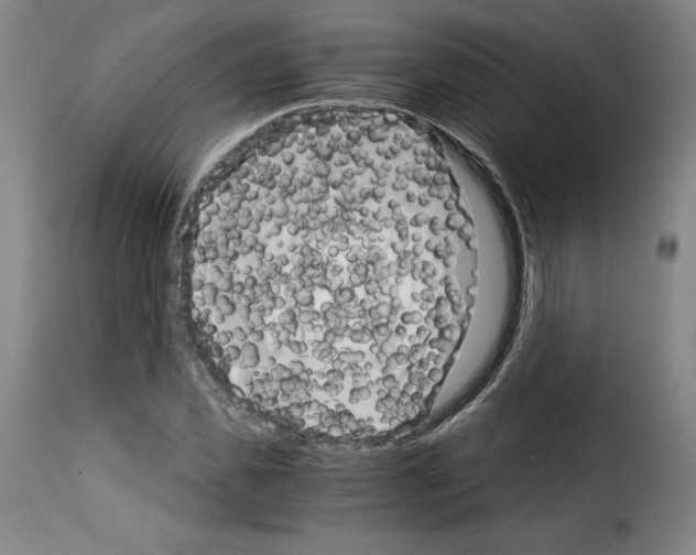 X0000114190925200911200933