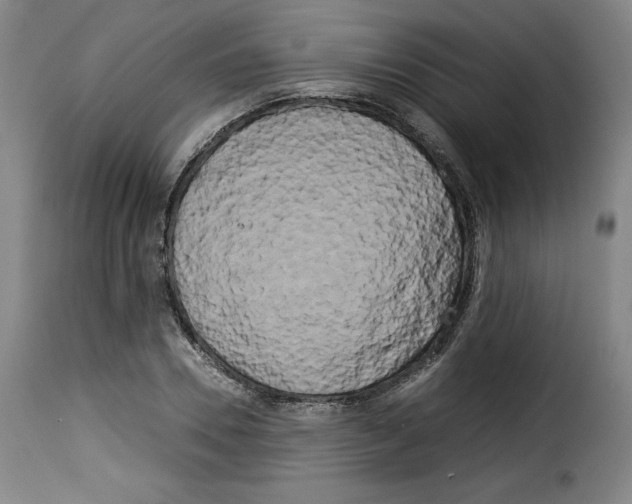 X0000114190930200911200933