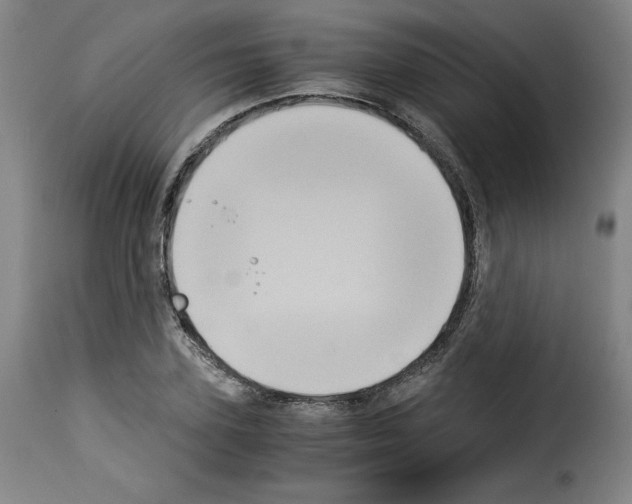 X0000114190931200911200933