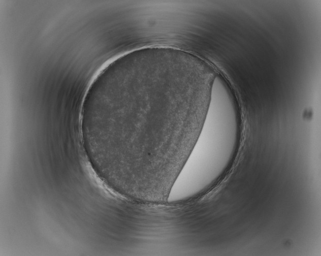 X0000114190932200911200933