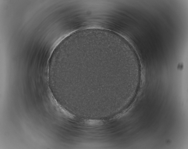 X0000114190933200911200933
