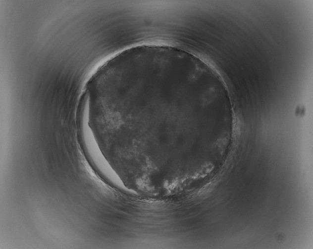 X0000114190935200911200933