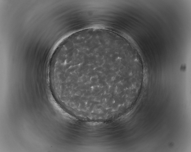 X0000114190939200911200933