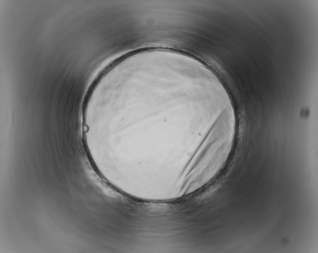 X0000114190940200911200933