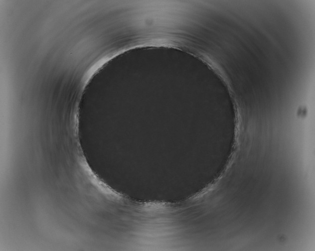 X0000114190944200911200933