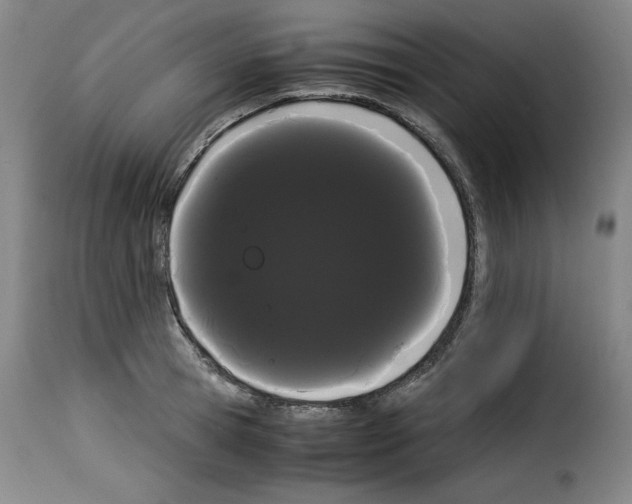 X0000114190945200911200933
