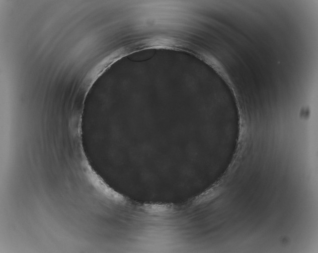 X0000114190946200911200933