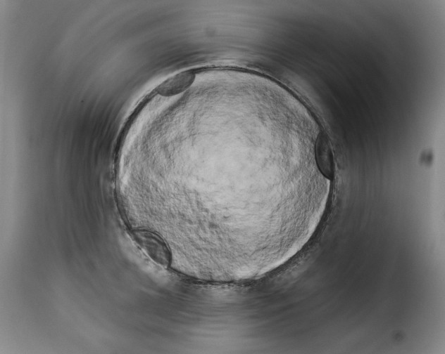 X0000114190948200911200933