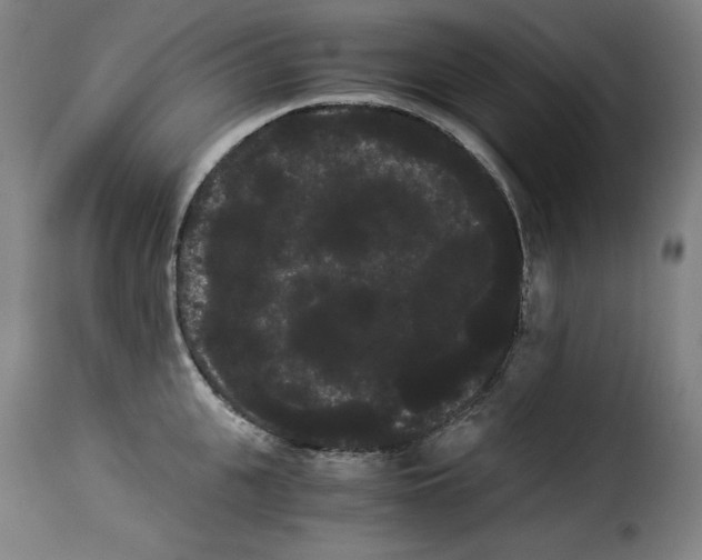 X0000114190951200911200933