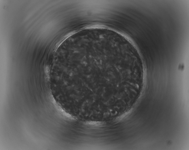 X0000114190953200911200933