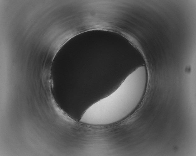 X0000114190954200911200933