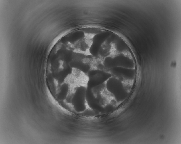 X0000114190957200911200933