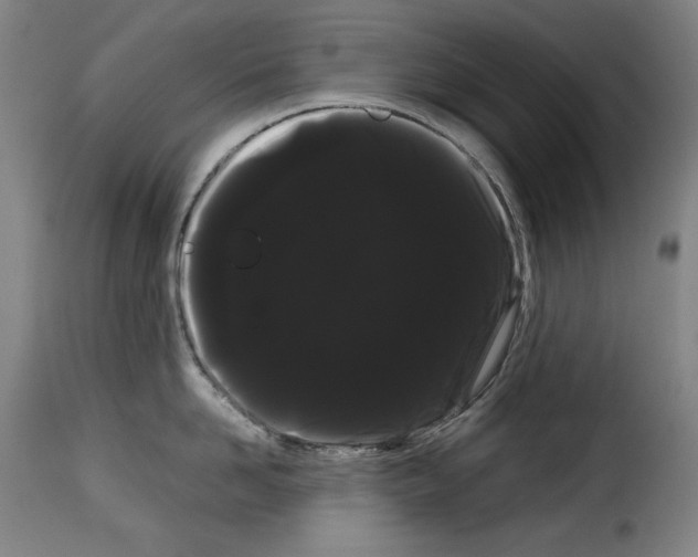 X0000114190958200911200933