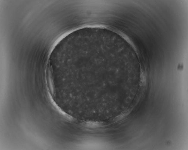 X0000114190959200911200933