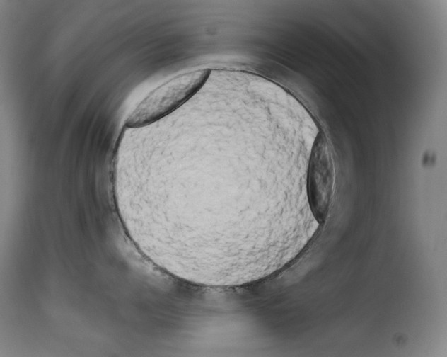 X0000114190960200911200933