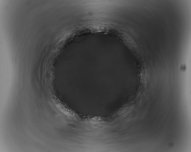 X0000114190961200911200933