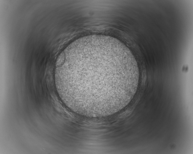 X0000114190962200911200933