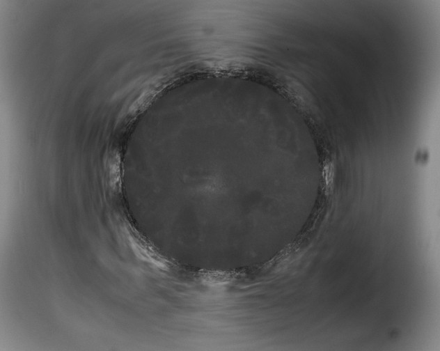 X0000114190963200911200933