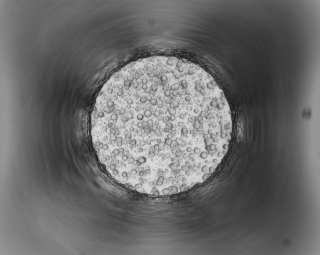 X0000114190964200911200933