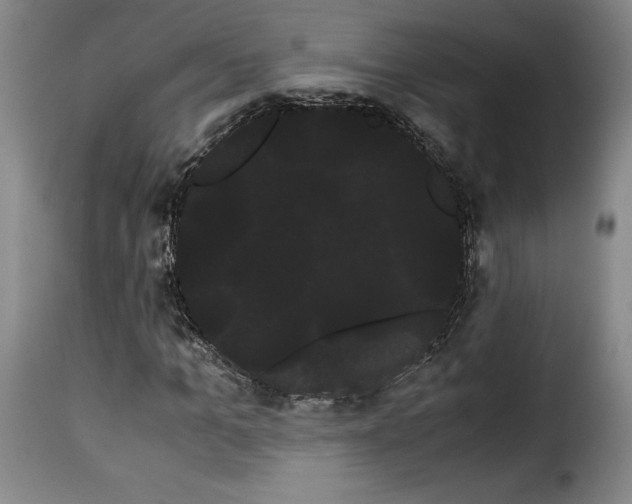 X0000114190965200911200933