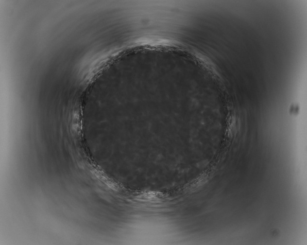 X0000114190966200911200933
