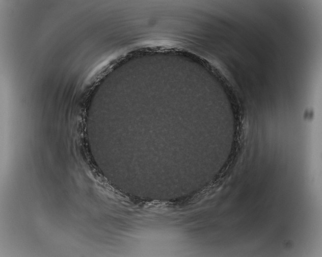 X0000114190967200911200933